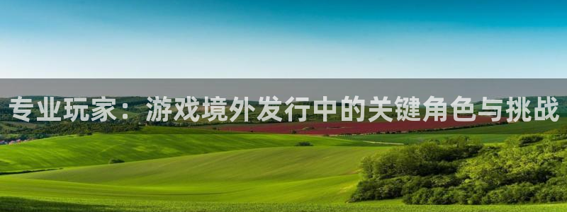江苏亿万28智得新材料：专业玩家：游戏境外发行中的关键角色与挑战