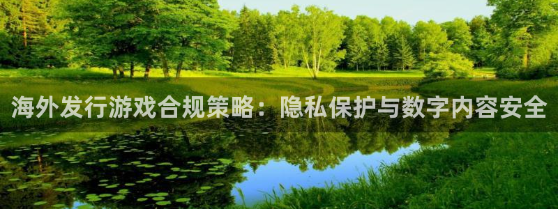 亿万28官网的钱能提出来吗：海外发行游戏合规策略：隐私保护与数字内容安全