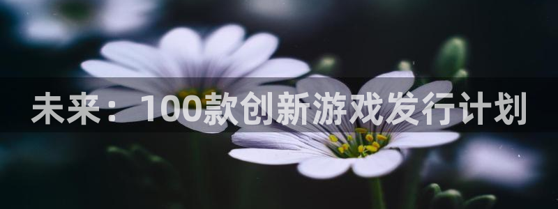亿万28子招聘：未来：100款创新游戏发行计划