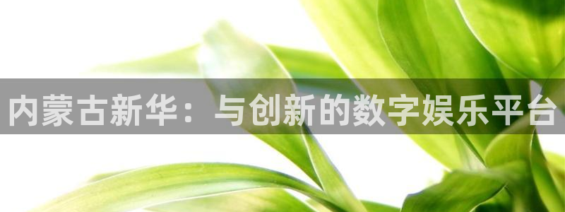 亿万28官网登录注册不了：内蒙古新华：与创新的数字娱乐平台