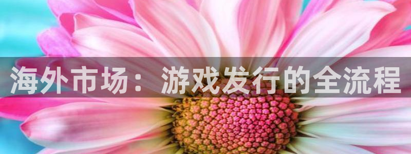 亿万28官网注册方法有哪些呢：海外市场：游戏发行的全流程