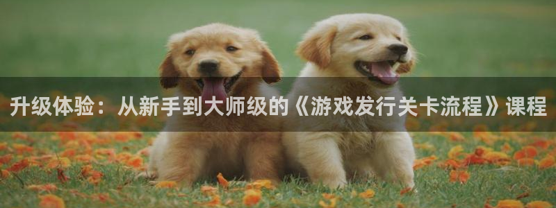 亿万28子文化创意有限公司